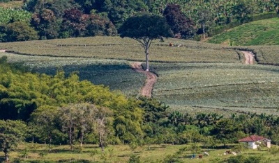 View of a farm, Colombia