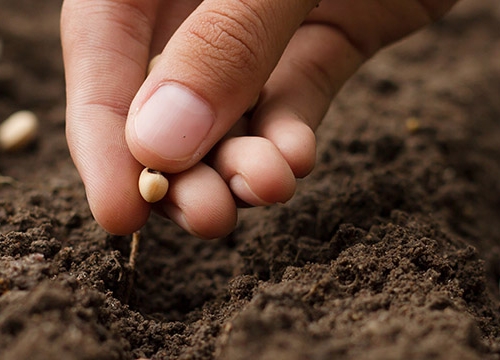 Online Right to Seeds Workshop