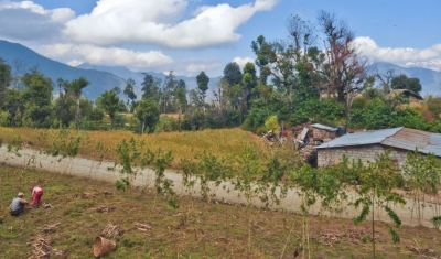 Nepal, Farmers plant crops along the Baglung-Bartibang road.