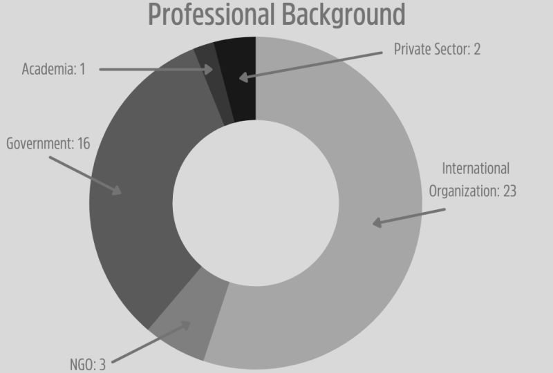 Graph showing the professional background of participants in the Executive Master in International Law in Armed Conflict