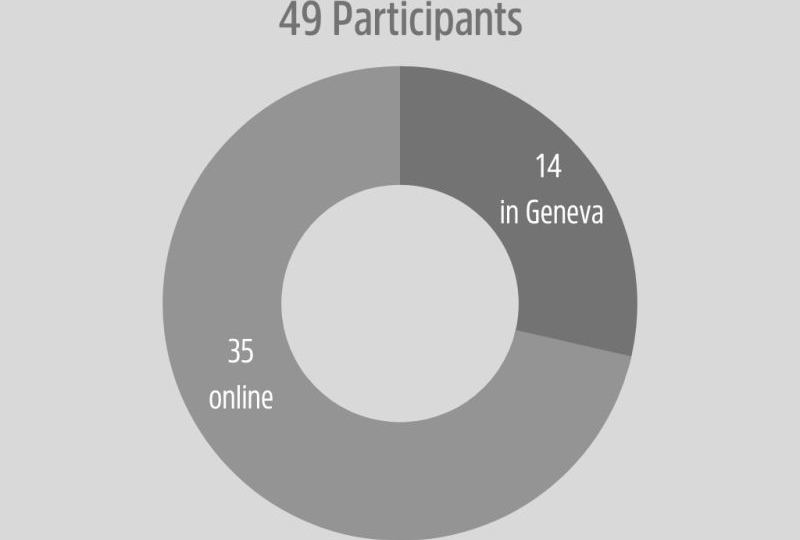 Graph presenting the repartition of participants online and in Geneva