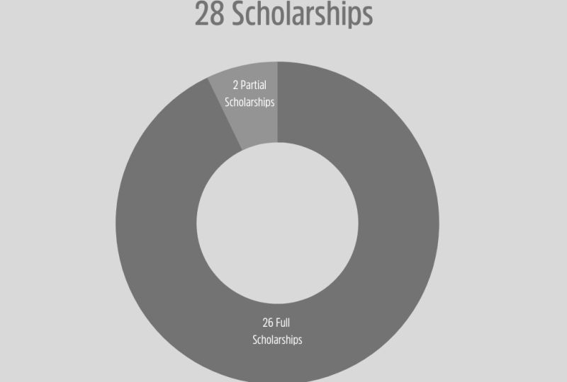 Graph showing the repartition of scholarships between full and partial scholarships