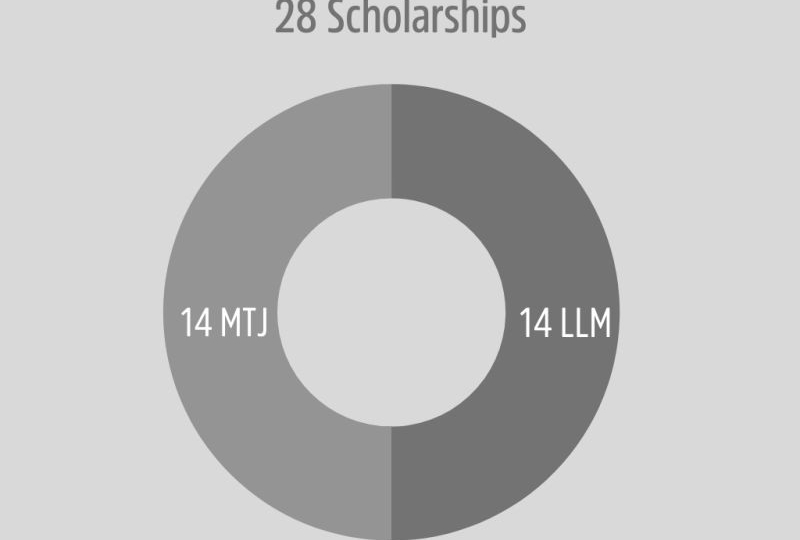 Graph showing the repartition of scholarships between the LLM and the MTJ