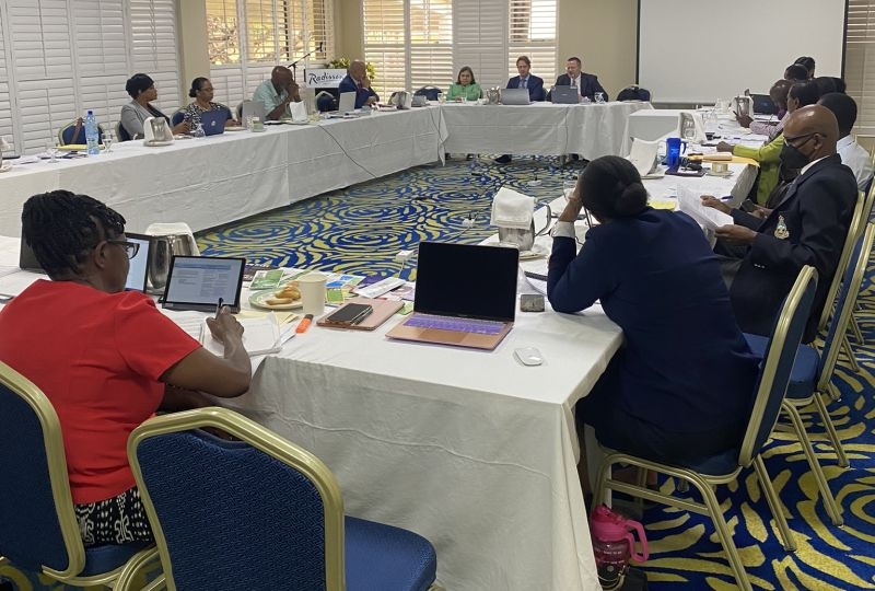 A session of the focused review pilot in Grenada
