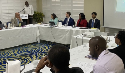 A session of the focused review in Grenada.