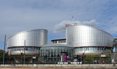 View of the European Court of Human Rights