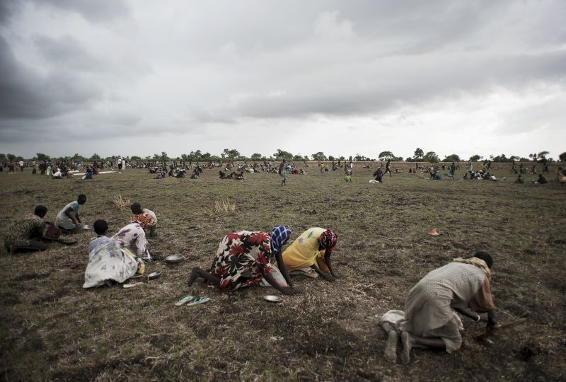 South Sudan, Unity State, Leer. After the ICRC food distribution many people run to the drop zone to collect food (sugar, beans, sorghum) from bags that broke. 
