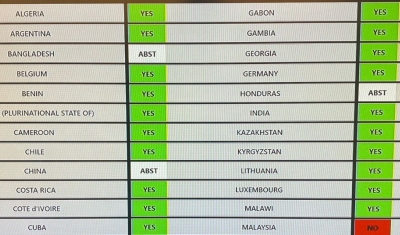 Voting at the UN Human Rights Council on the new mechanisms on the rights of peasants