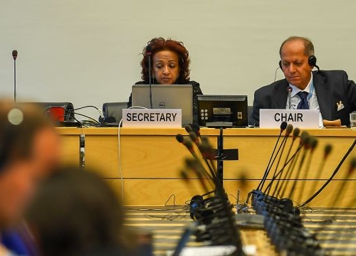A session of a UN treary body in Geneva