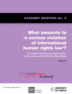 Cover of the Briefing No6: What Amounts to Serious Violations of International Human Rights Law 