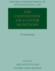 Cover of the book The Convention on Cluster Munitions
