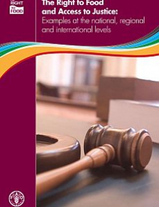 Cover of The Right to Food and Access to Justice: Examples at the National, Regional and International Levels