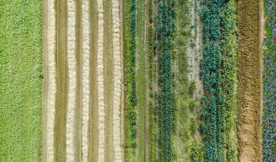 Crops view from the sky