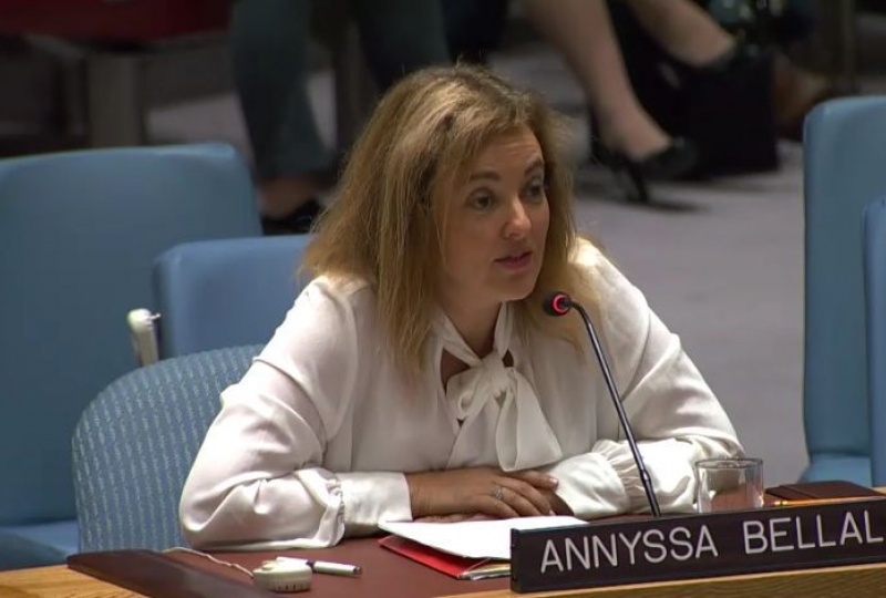 Dr Annyssa Bellal briefs the UN Security Council on international humanitarian law and the Geneva Conventions